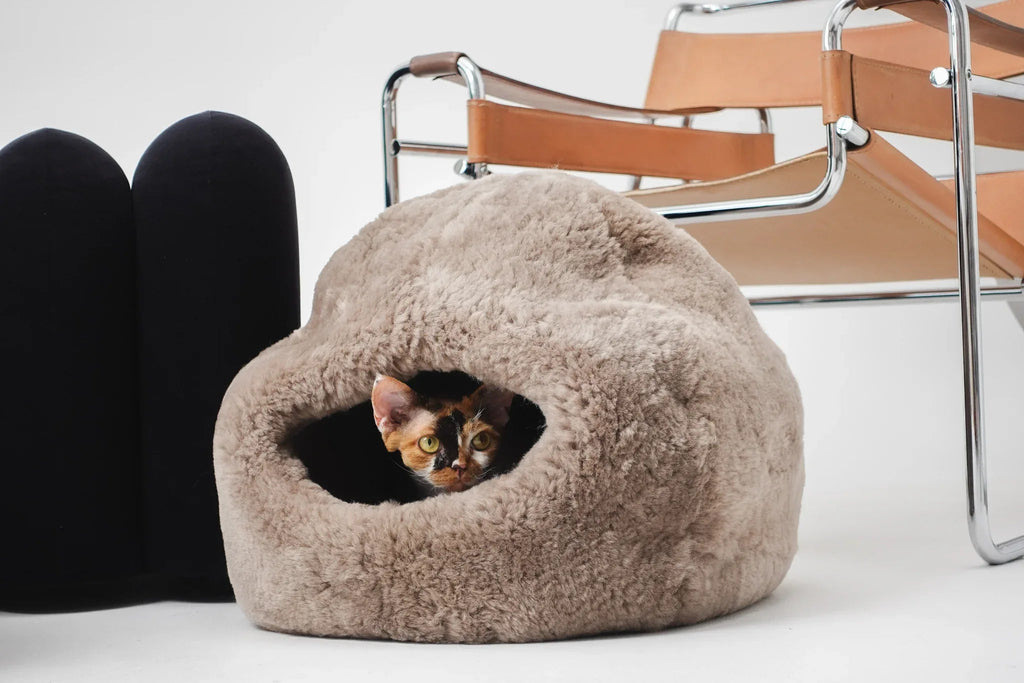 Kattennestbed