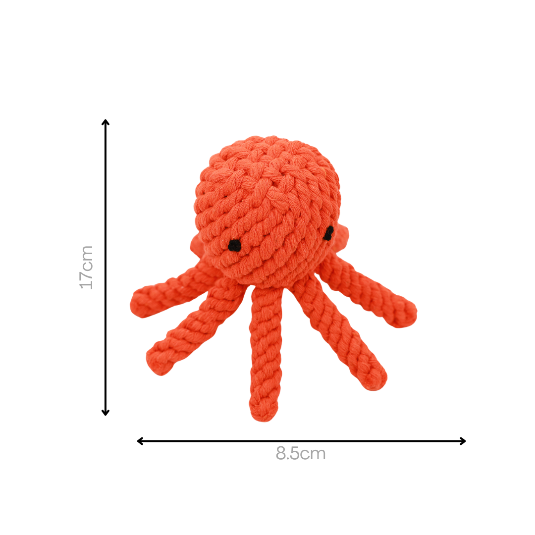 Octopusspeeltje