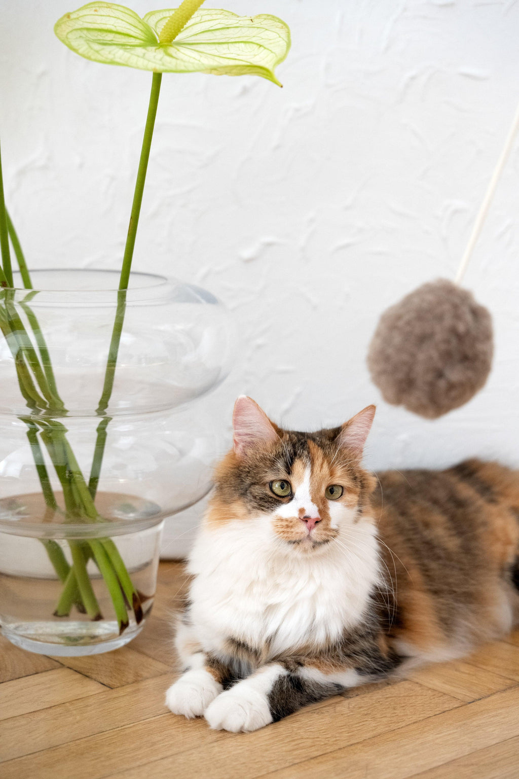 Schapenvel speelbal voor katten