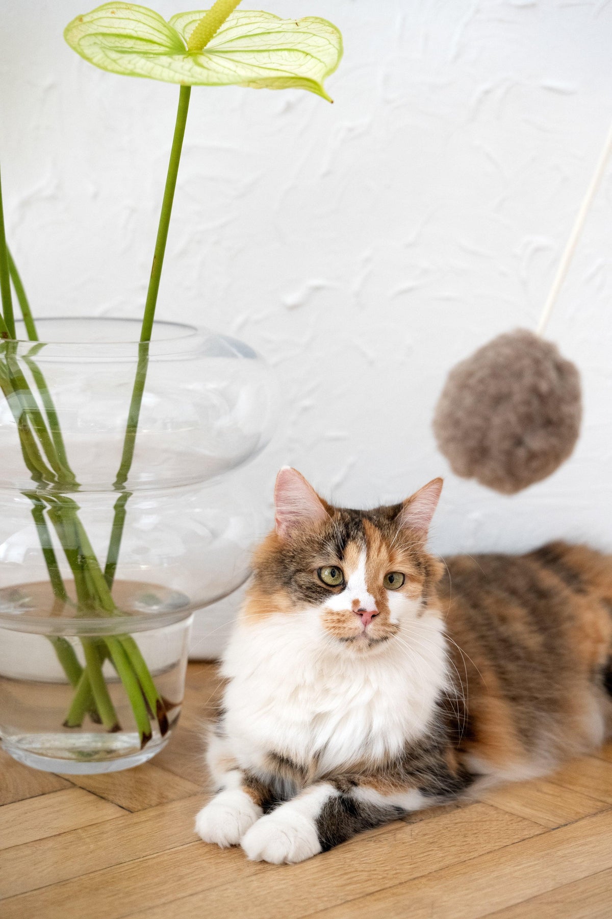 Wollen speelbal voor katten