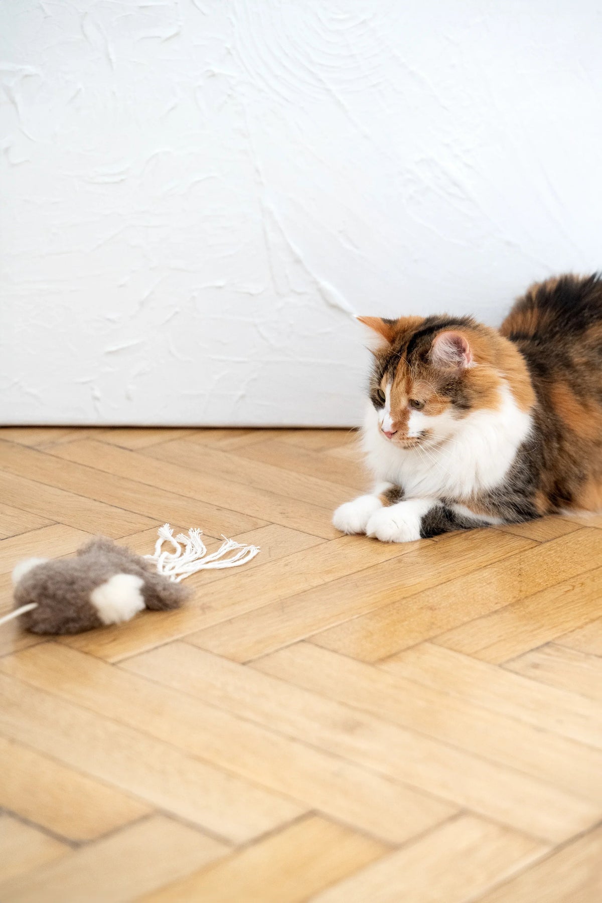 Schapenvel speelinkvis voor katten