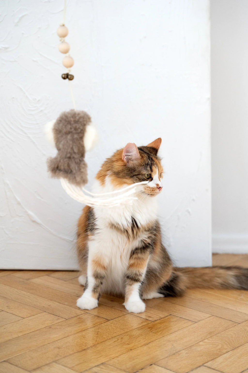 Schapenvel speelinkvis voor katten
