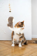 Schapenvel speelinkvis voor katten
