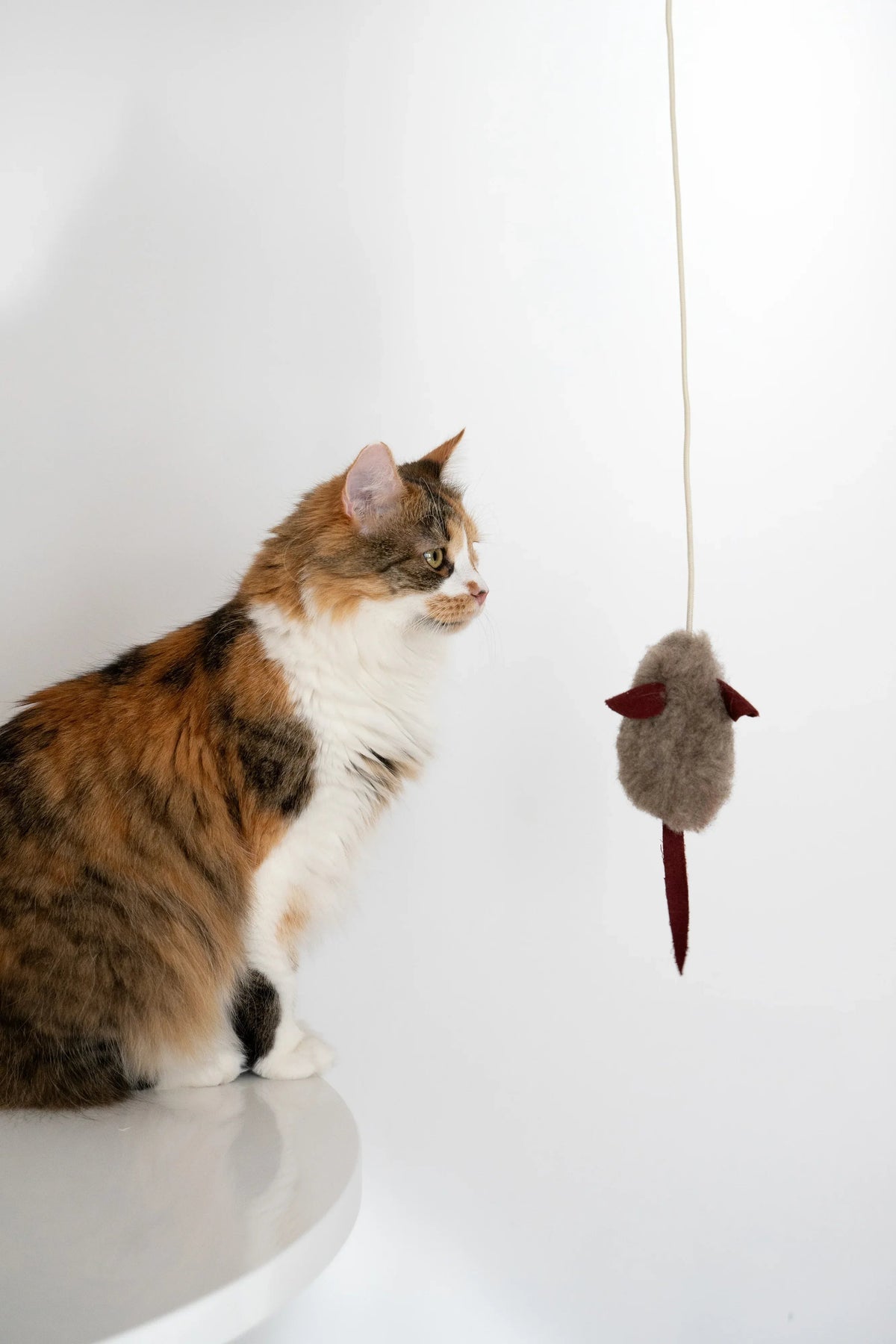 Wollen speelmuis voor katten