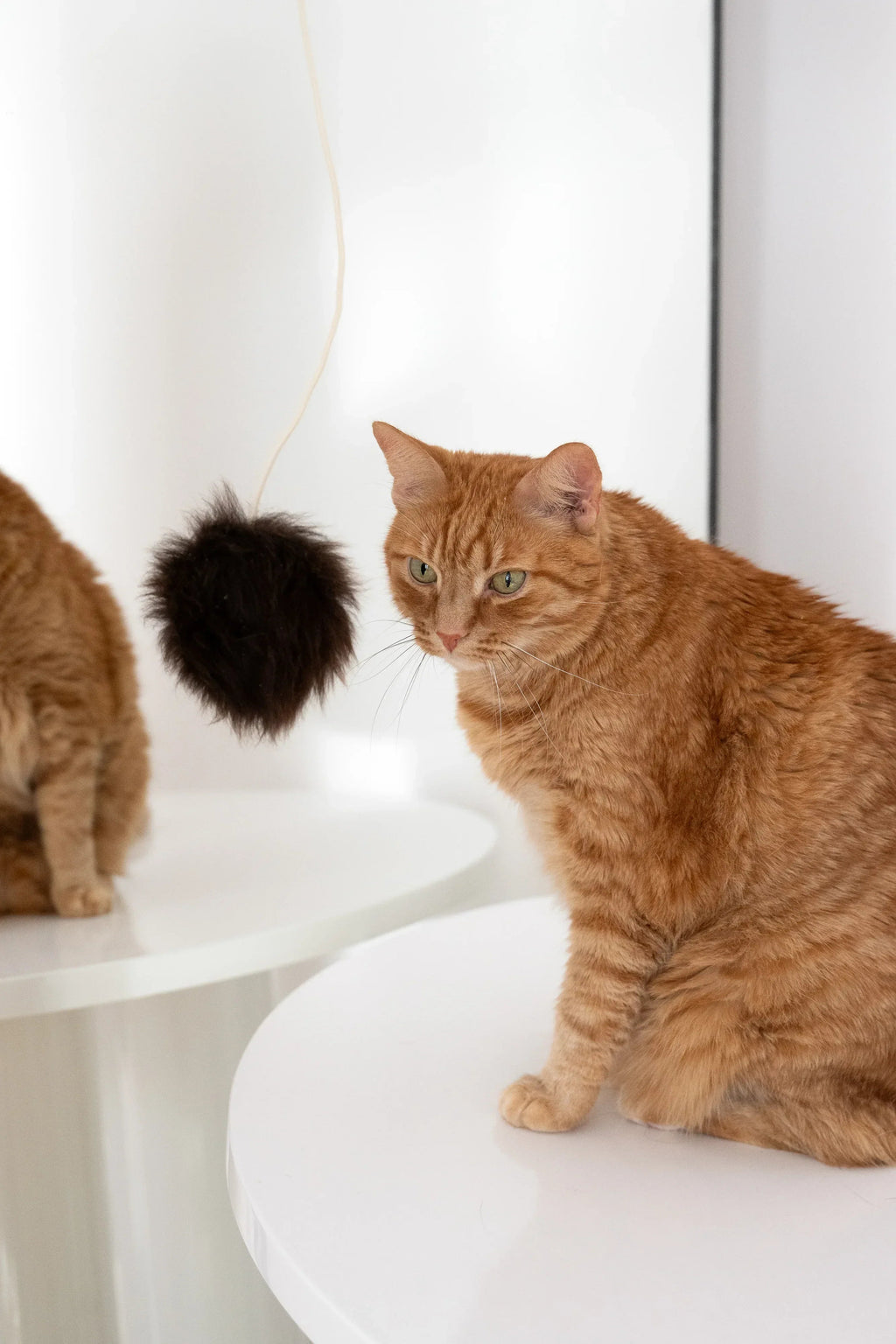 Wollen speelbal voor katten