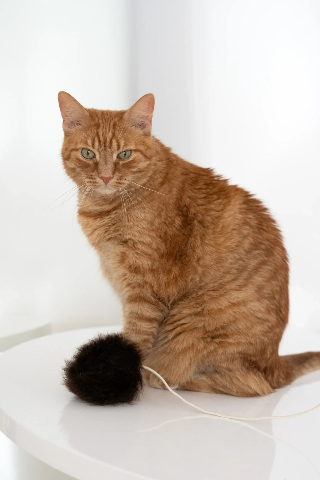 Wollen speelbal voor katten