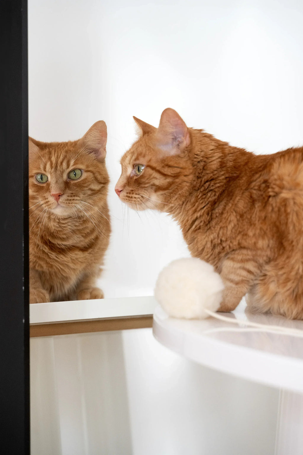 Schapenvel speelbal voor katten