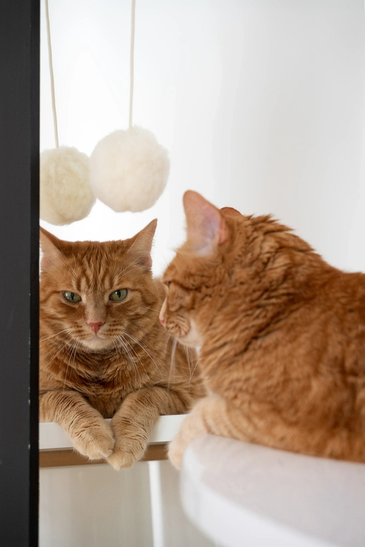 Wollen speelbal voor katten
