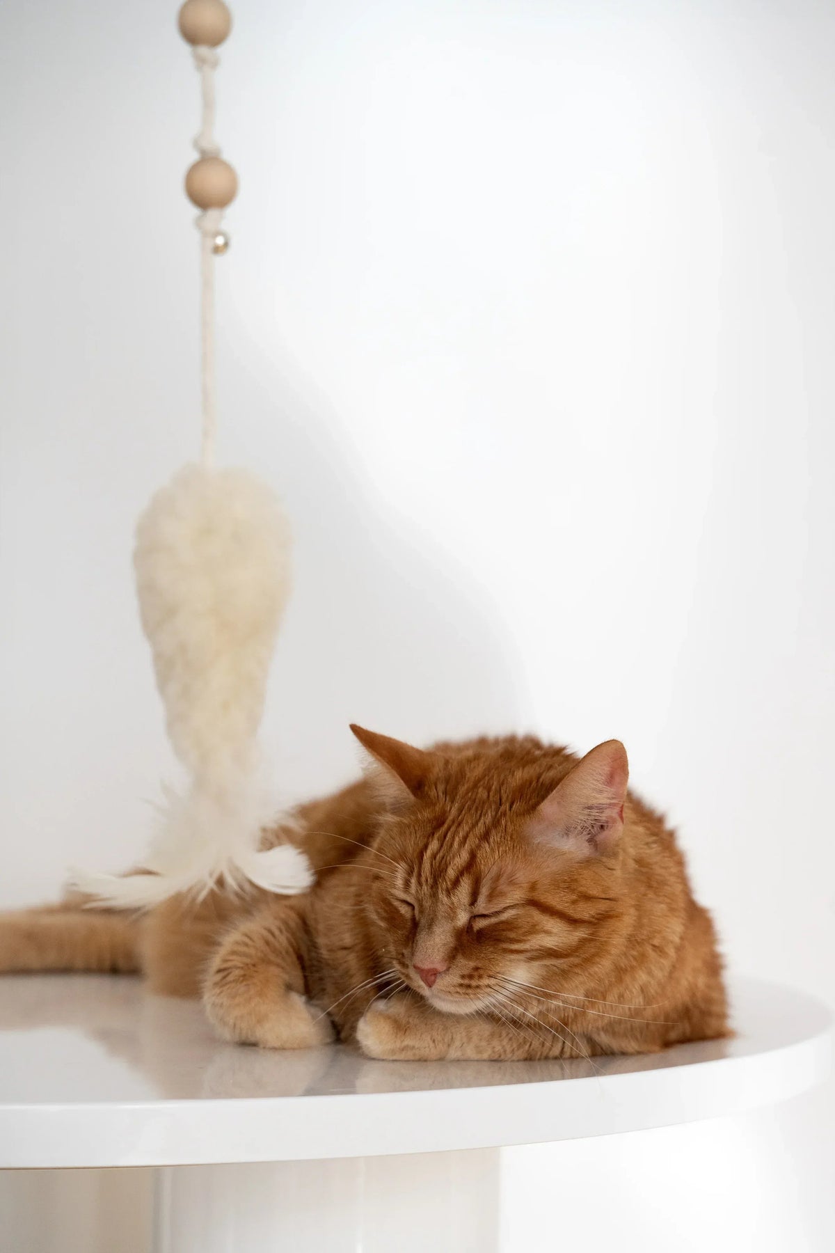 Wollen speelvis voor katten