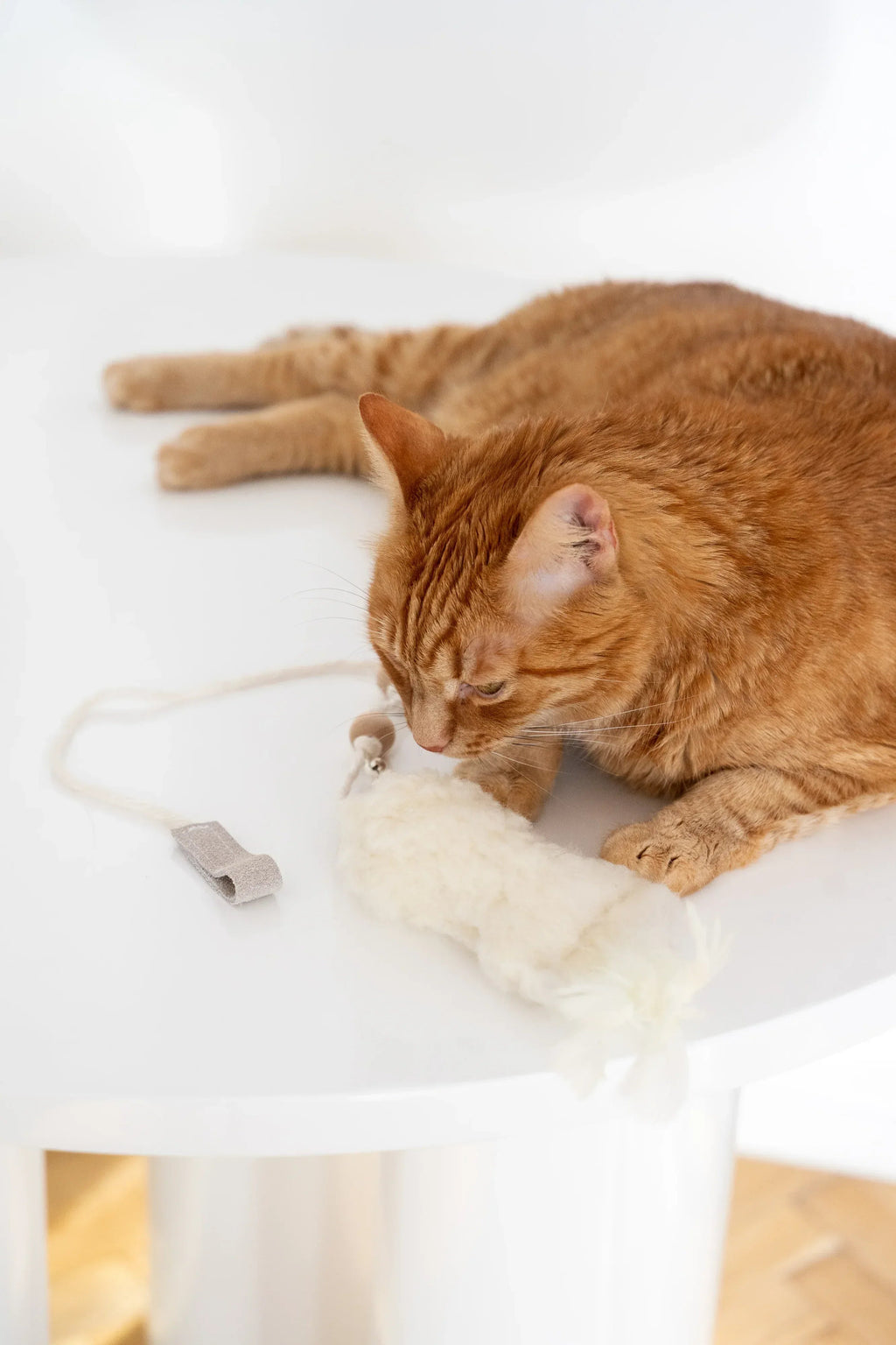 Wollen speelvis voor katten