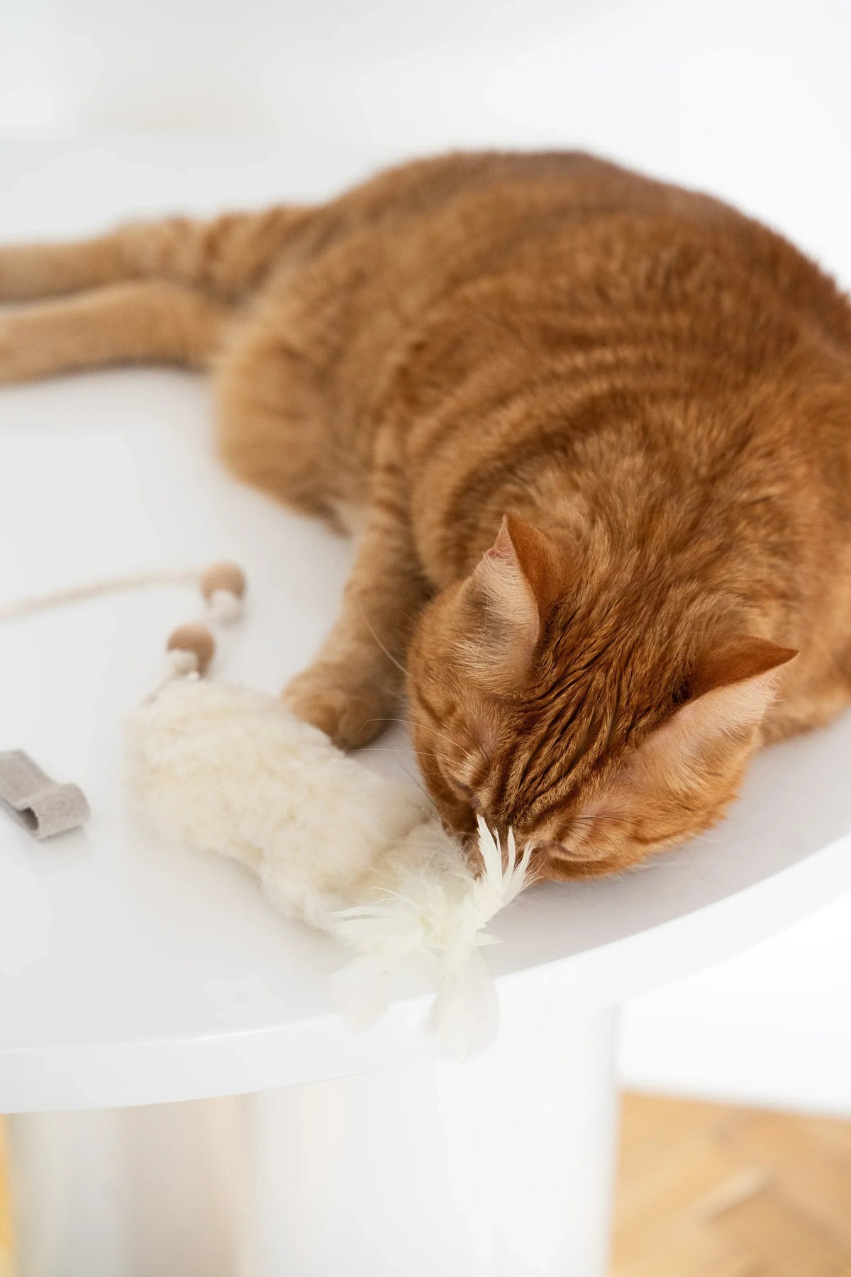 Schapenvel speelvis voor katten
