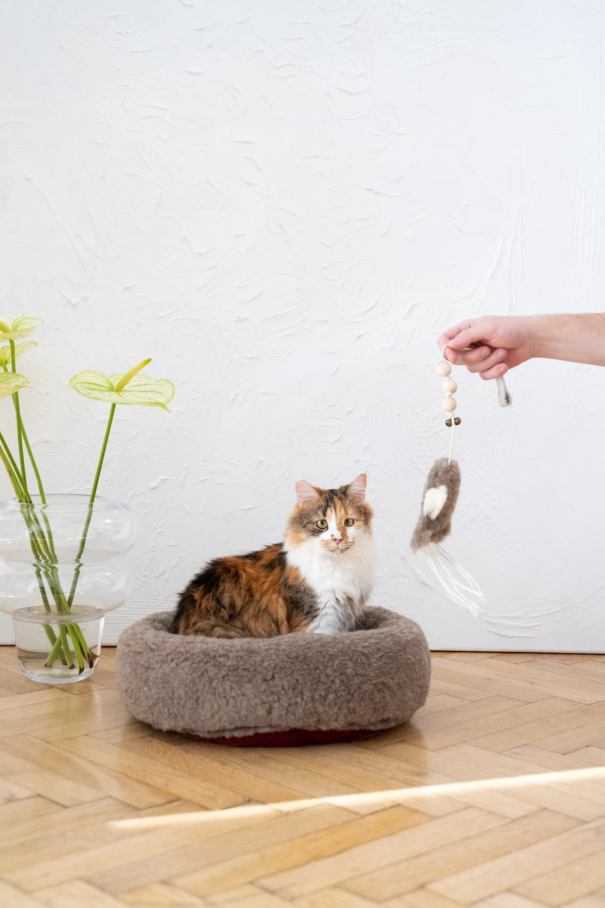 Schapenvel speelinkvis voor katten