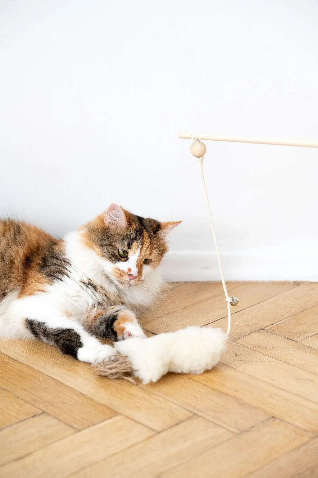 Schapenvel speelvis voor katten