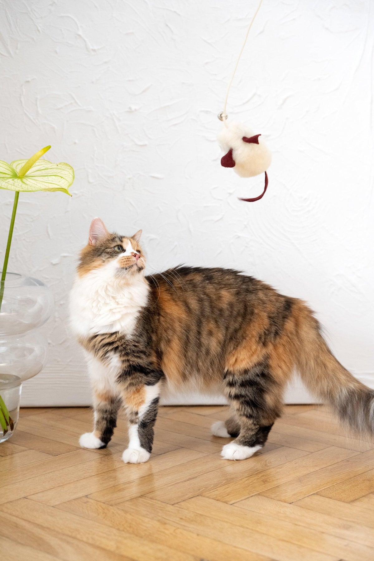 Wollen speelmuis voor katten