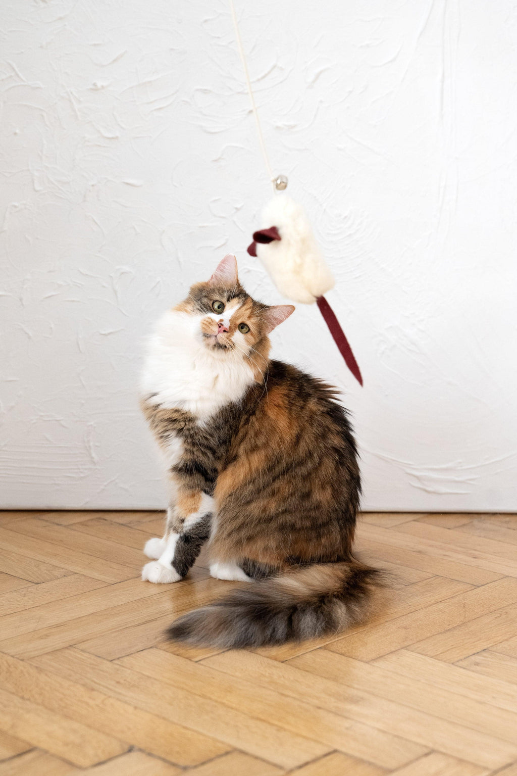 Wollen speelmuis voor katten
