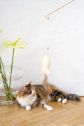 Schapenvel speelvis voor katten