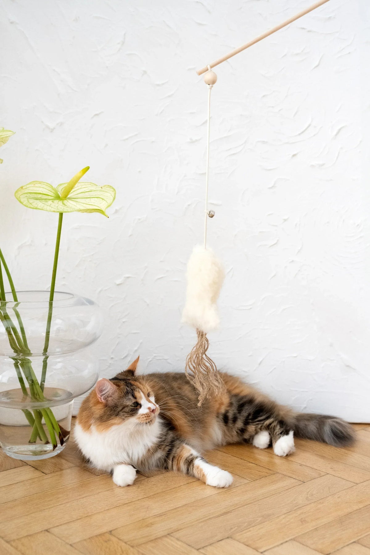 Schapenvel speelvis voor katten
