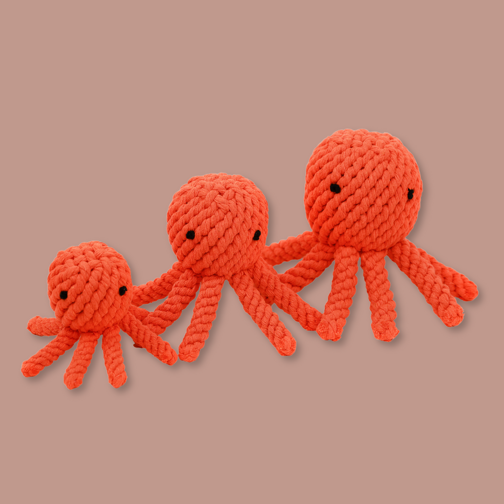 Octopusspeeltje