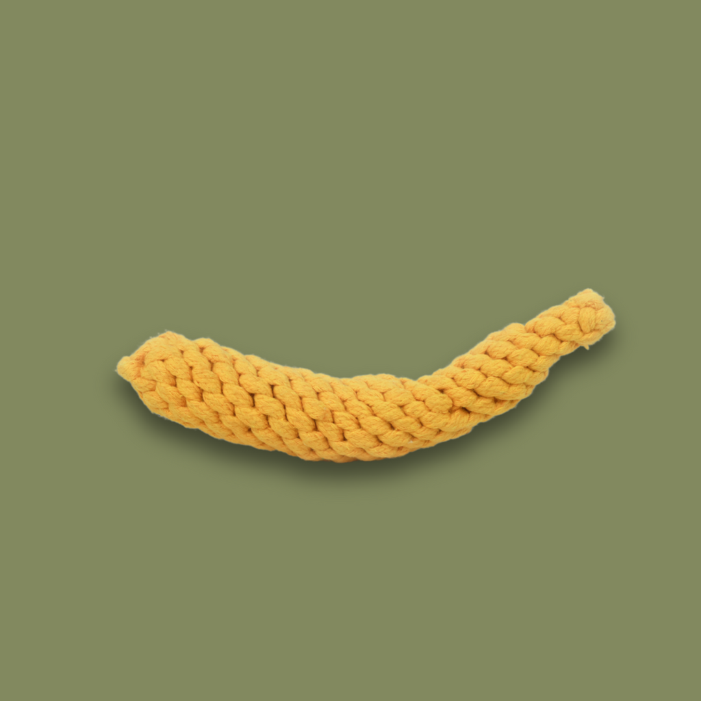 Bananenspeeltje