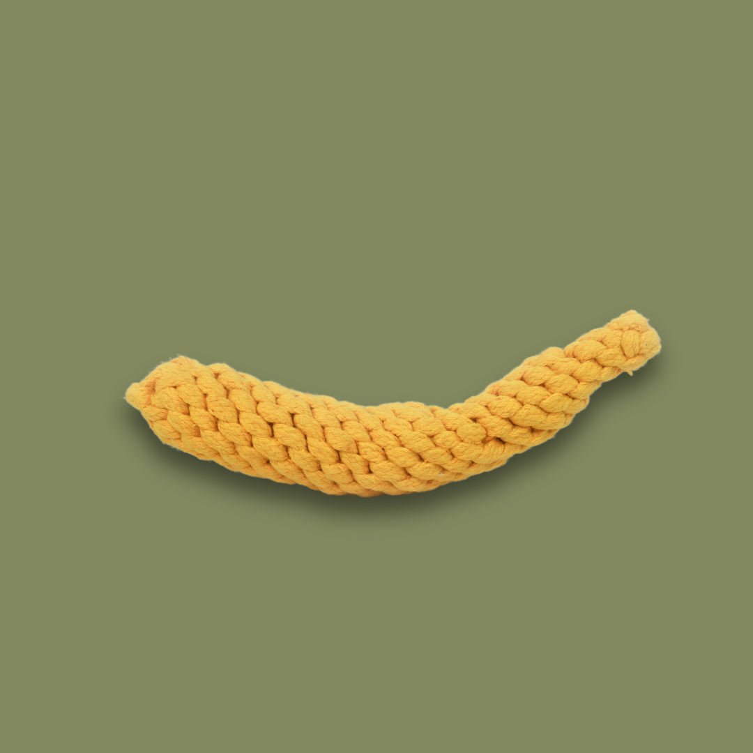 Bananenspeeltje