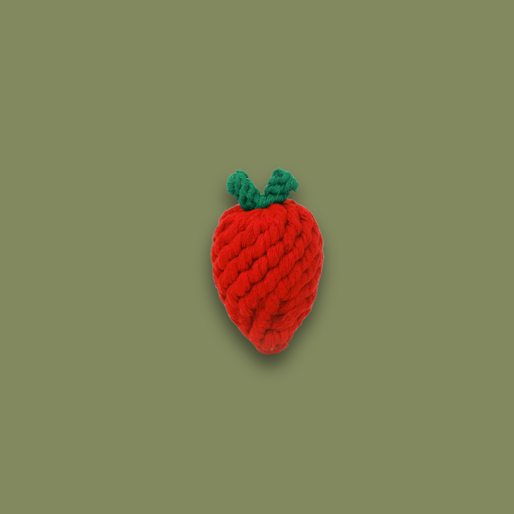 Aardbeienspeeltje