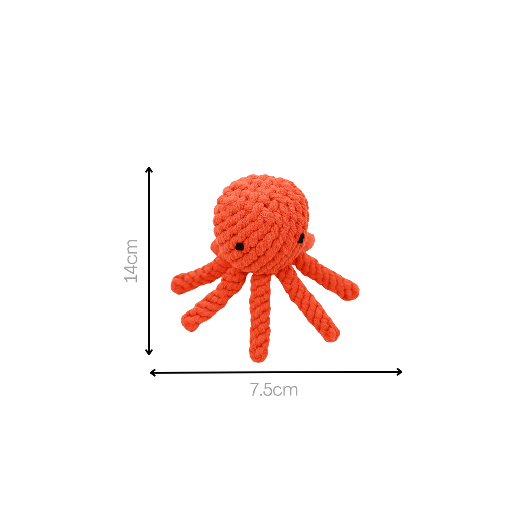 Octopusspeeltje