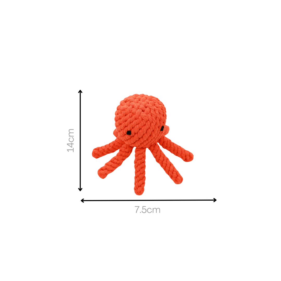 Octopusspeeltje