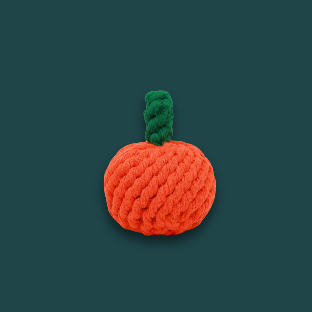 Sinaasappelspeeltje
