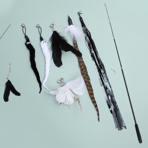 Telescopische kattenhengel met veren set - mintgroene achtergrond