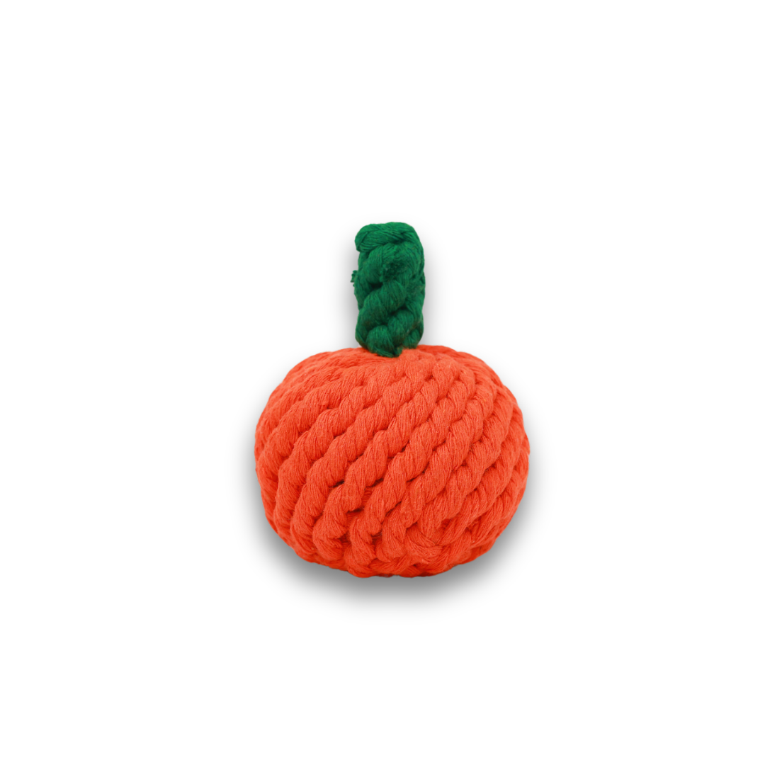 Sinaasappelspeeltje
