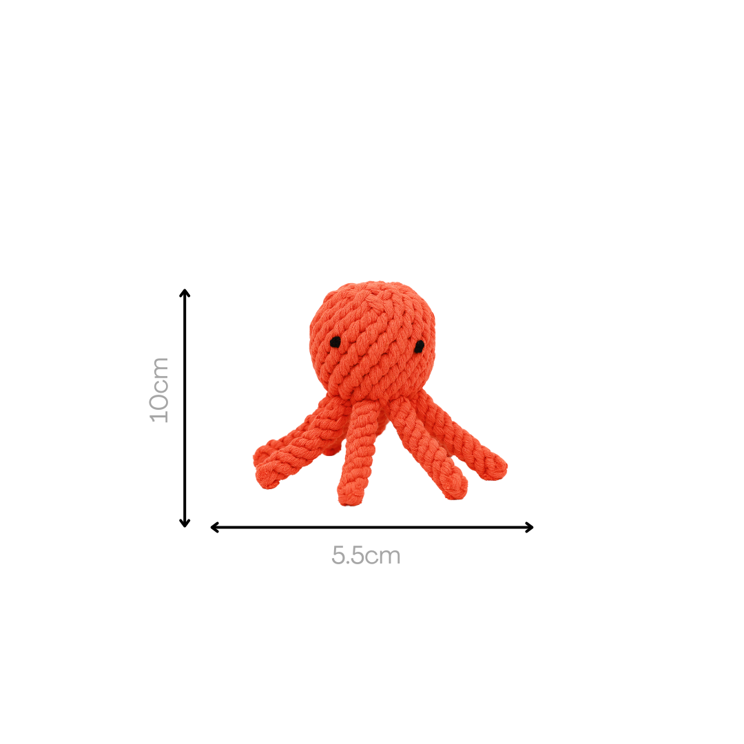 Octopusspeeltje