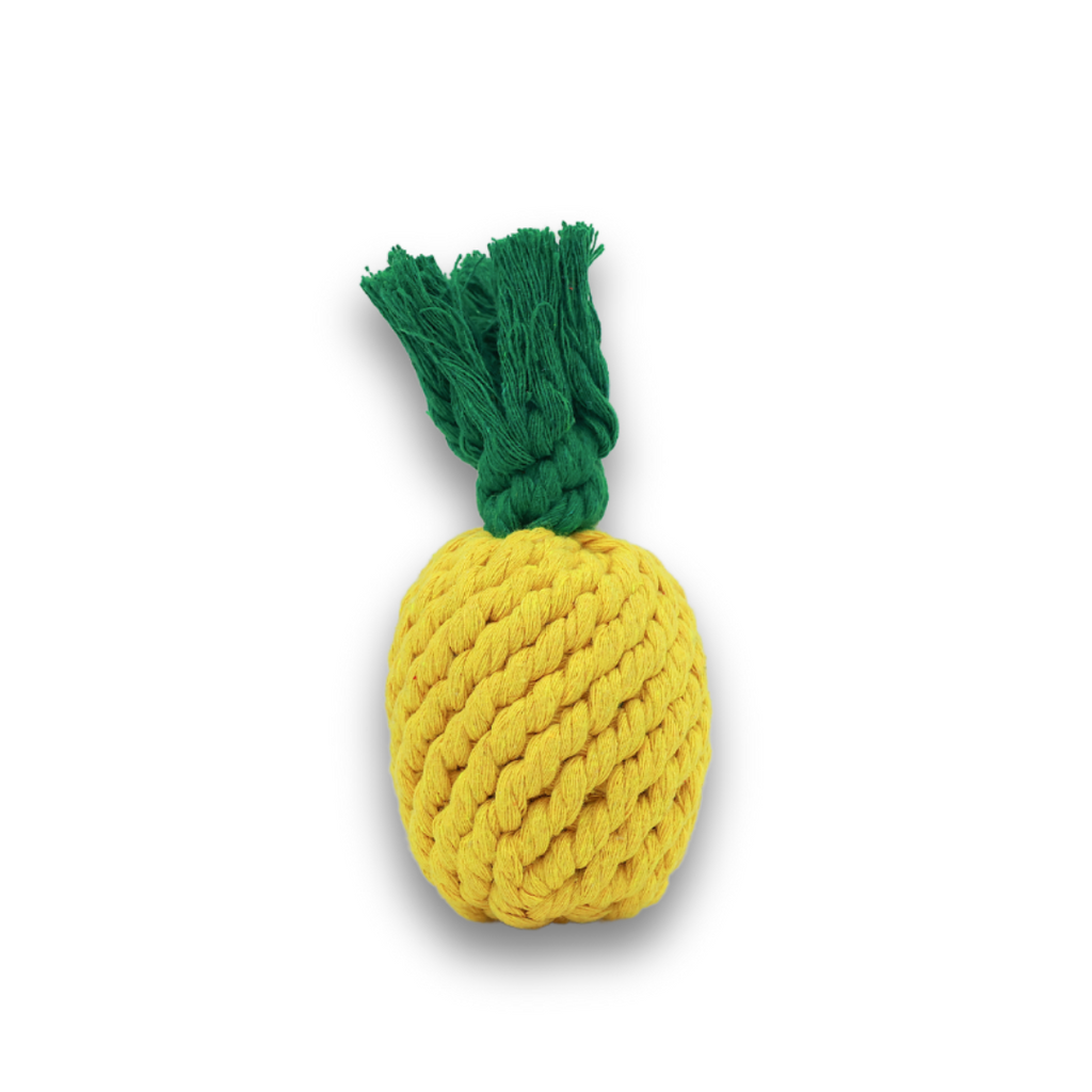 Ananasspeeltje